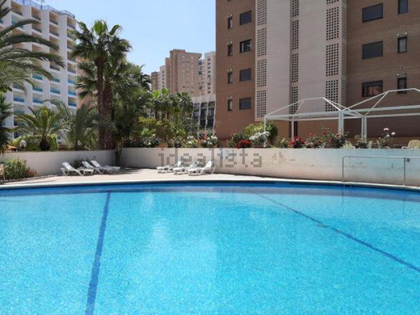 Appartement Vue Sur Mer Avenue De L'Europe ベニドルム エクステリア 写真
