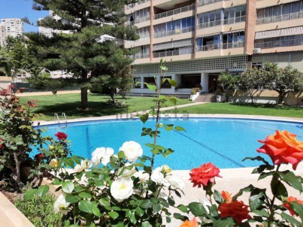 Appartement Vue Sur Mer Avenue De L'Europe ベニドルム エクステリア 写真