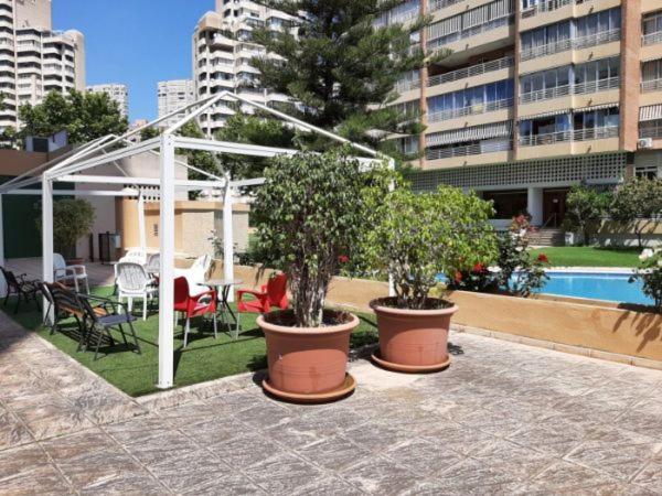 Appartement Vue Sur Mer Avenue De L'Europe ベニドルム エクステリア 写真
